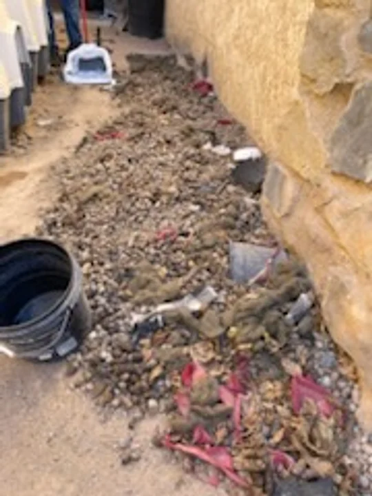 A neglected side-yard area before a one-time cleanup